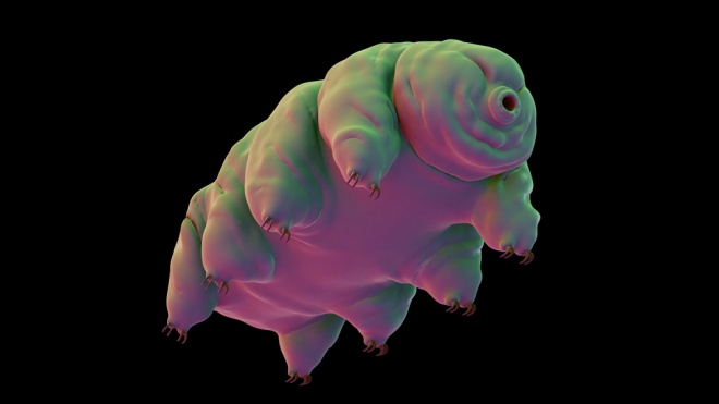 tardigrade-tb_tcm25-564216
